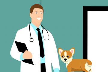 Servizio Ambulanza Veterinaria 